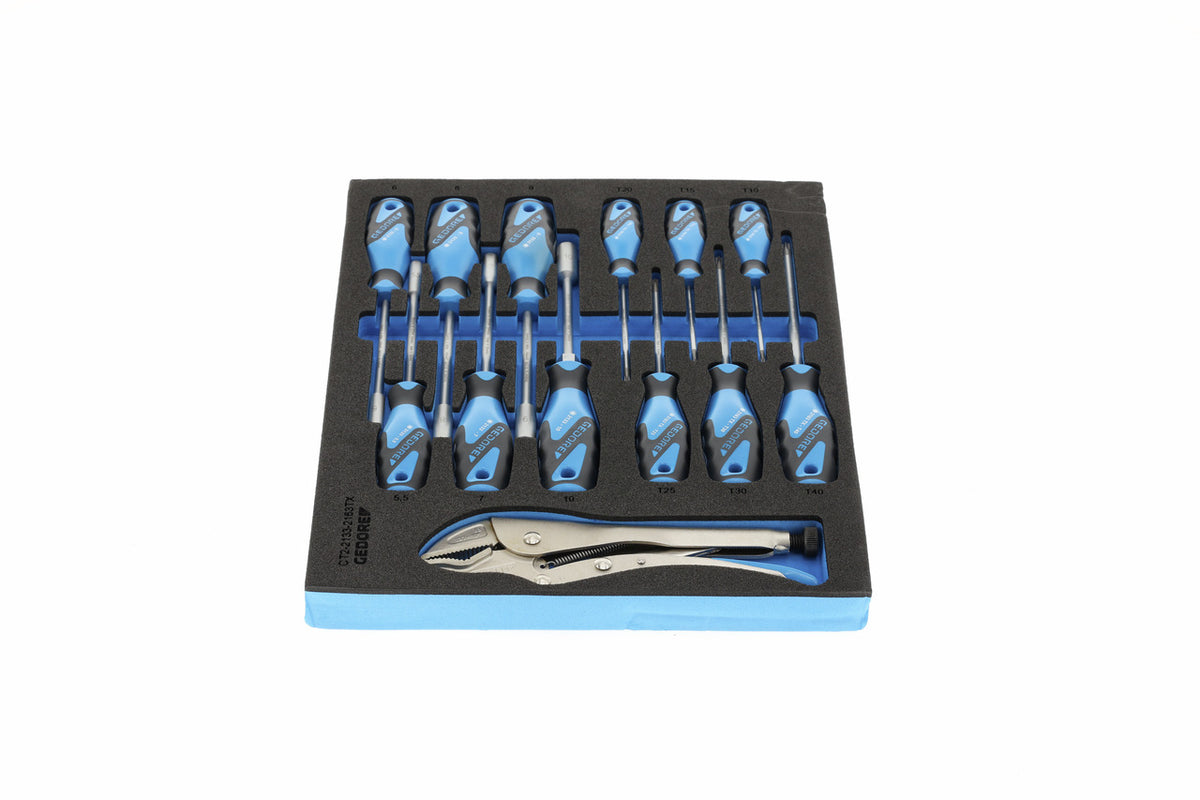 TS CT2-2133-2163TX - Assortiment de tournevis et pince étau dans un module en mousse bi-matière Check-Tool, 13 pièces