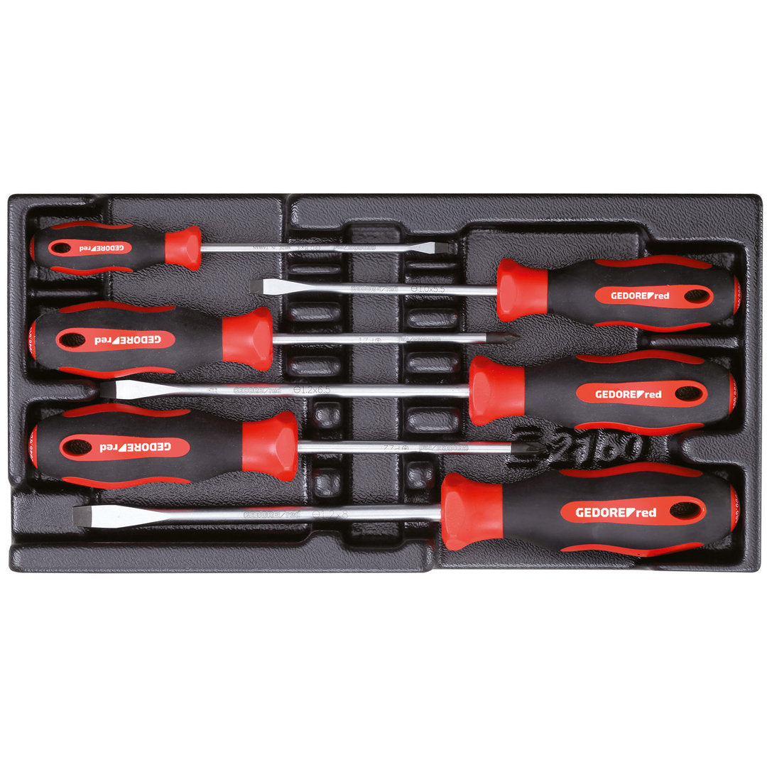 GEDORE red R22150014 - Jeu de tournevis PZ + SL, module CT 2/6, 6 pièces