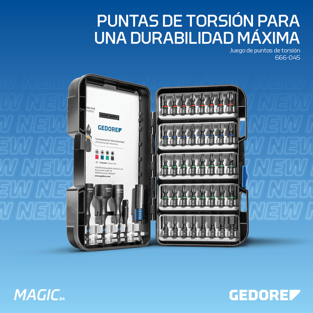 GEDORE 666-045 - Juego de puntas de torsión de 1/4", 45 piezas