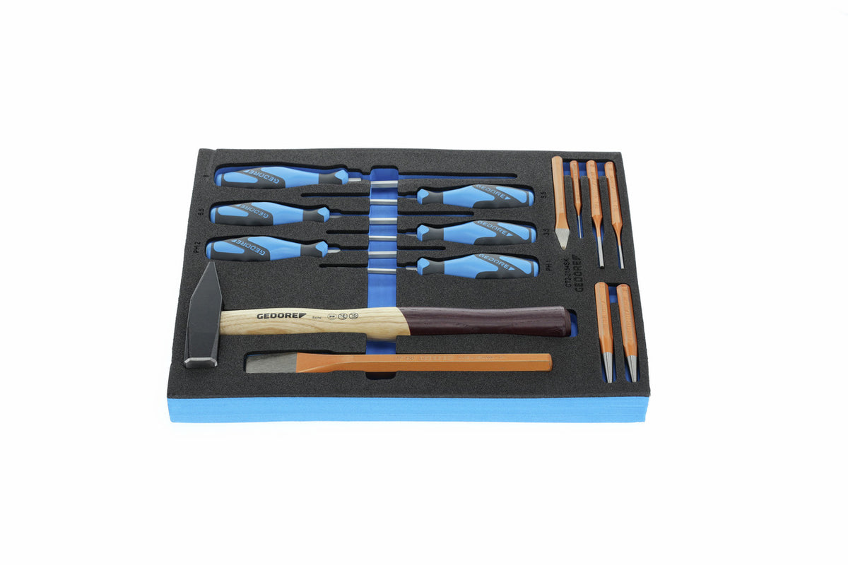 TS CT2-2154SK-119 - Assortiment de tournevis et outil à frapper dans un module en mousse Check-Tool double corps, 14 pièces