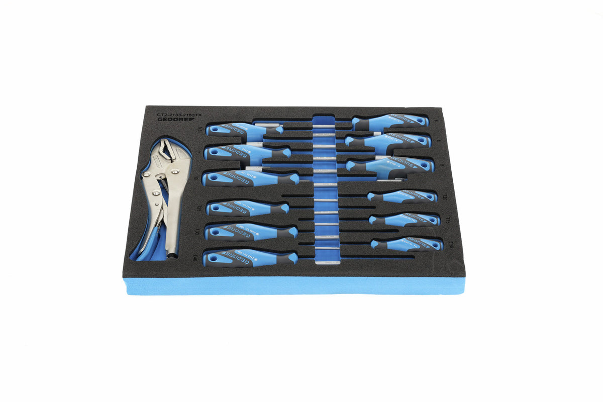 TS CT2-2133-2163TX - Assortiment de tournevis et pince étau dans un module en mousse bi-matière Check-Tool, 13 pièces