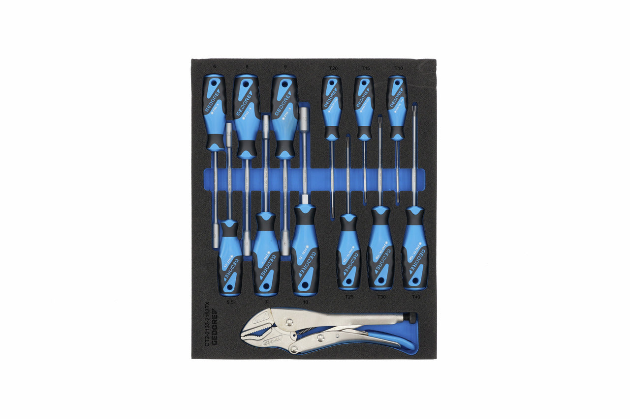 TS-308 - Surtido de 308 herramientas en módulos Check-Tool