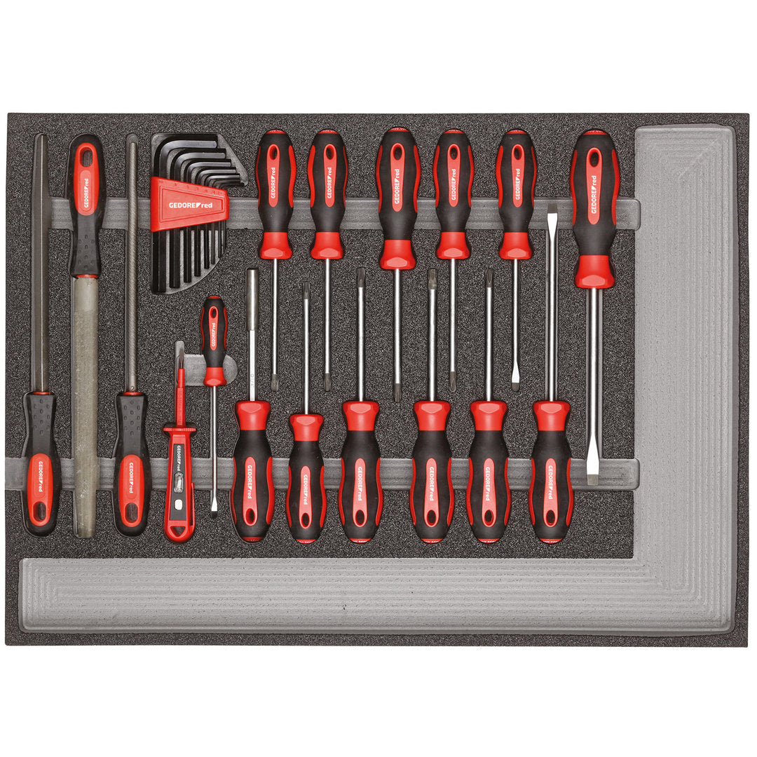 GEDORE red R22350002 - Jeu d'outils tournevis + limes, module CT, 25 pièces
