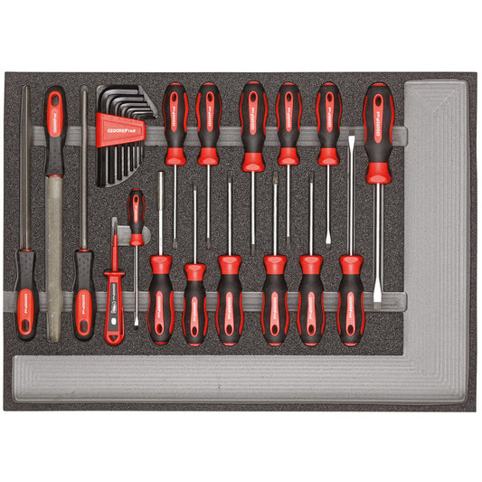 GEDORE red R22350002 - Jeu d'outils tournevis + limes, module CT, 25 pièces