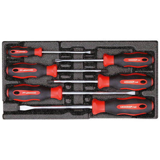 GEDORE red R22150013 - Jeu de tournevis PH + SL, module CT 2/6, 6 pièces