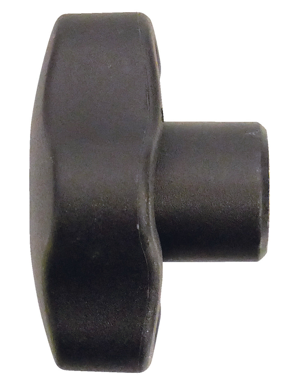 KL-0121-4003 - Mango, M10