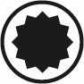 Perfil de estrella XZN de doce puntas