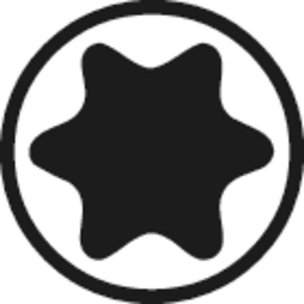 Perfil Torx hembra