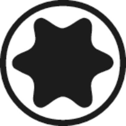 Perfil Torx hembra