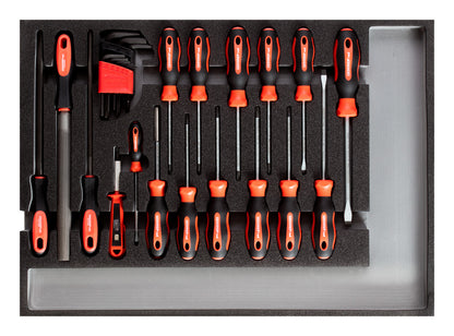 GEDORE red R22350002 - Jeu d'outils tournevis + limes, module CT, 25 pièces