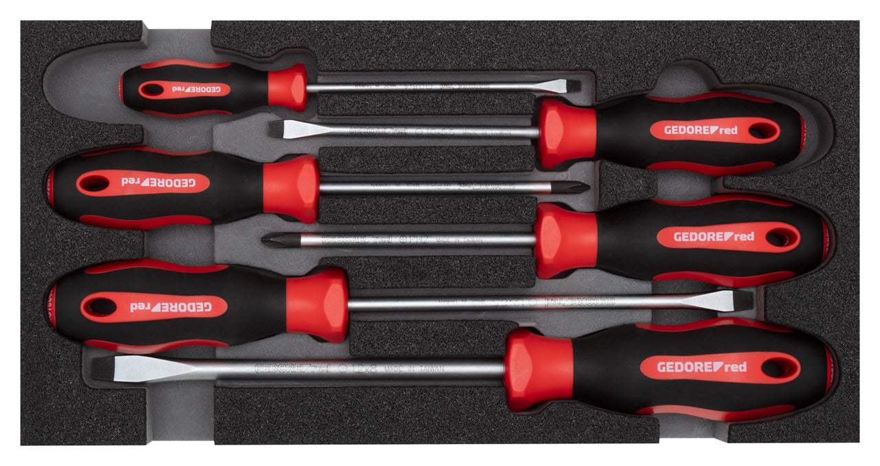 GEDORE red R22150013 - Jeu de tournevis PH + SL, module CT 2/6, 6 pièces