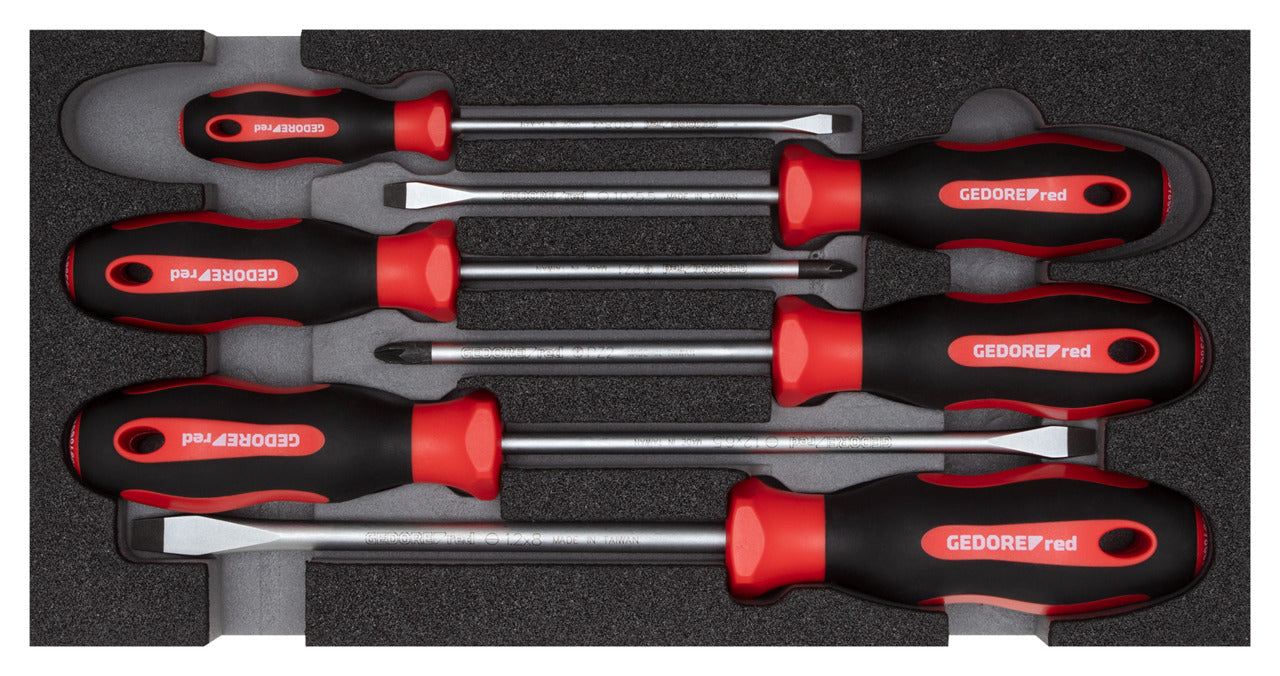 GEDORE red R22150014 - Jeu de tournevis PZ + SL, module CT 2/6, 6 pièces