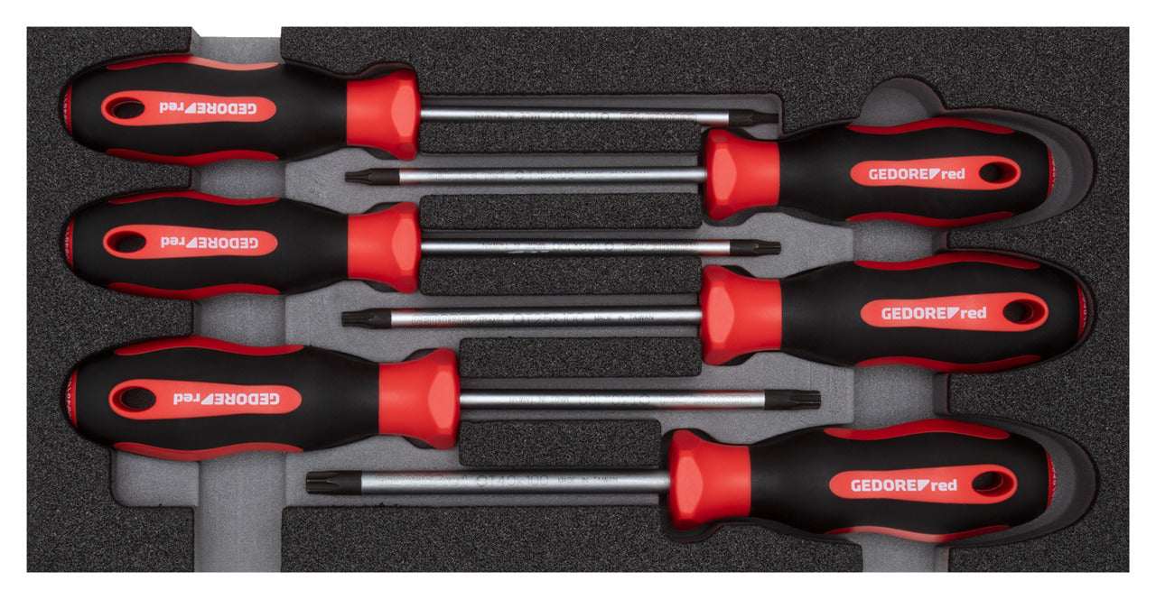 GEDORE red R22150015 - Jeu de tournevis TX, en module CT 2/6, 6 pièces
