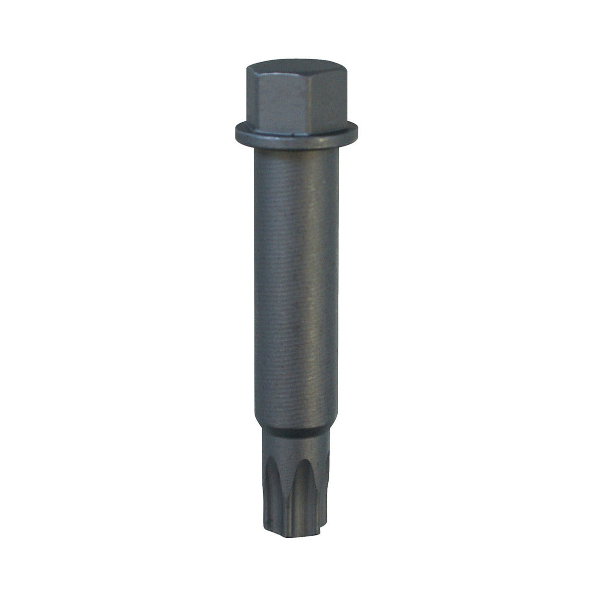 KL-0284-2901 - Punta de destornillador T50: Vástago roscado con cabeza hexagonal y extremo estriado tipo múltiple